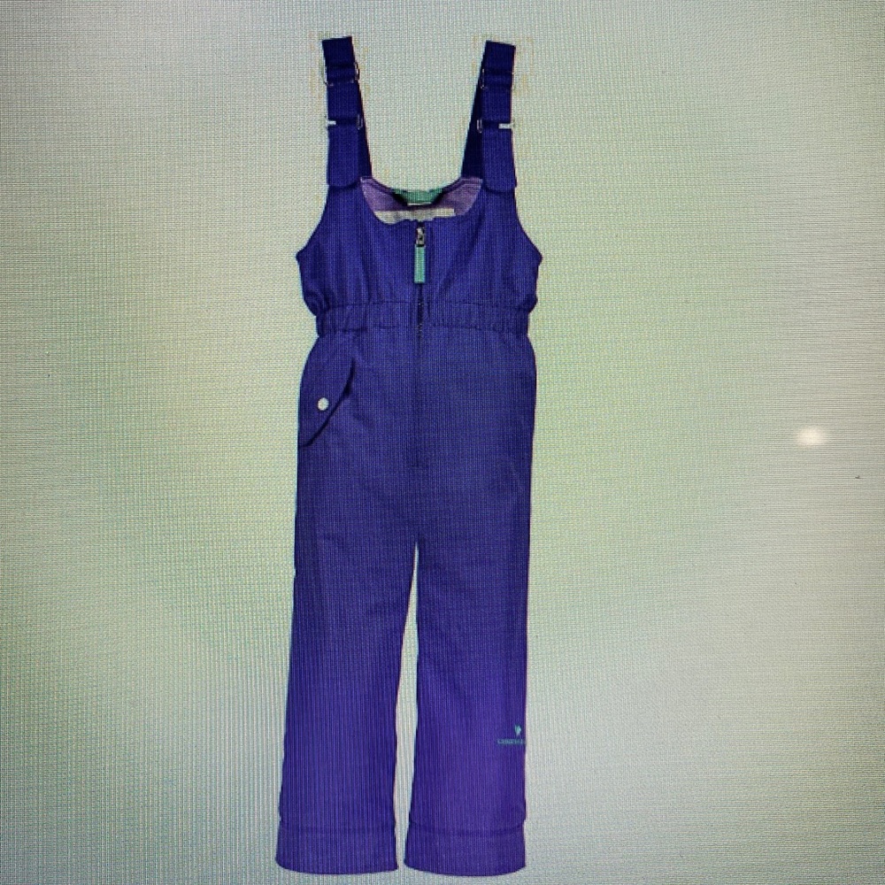 Obermeyer Kids Girl’s Snoverall Pants